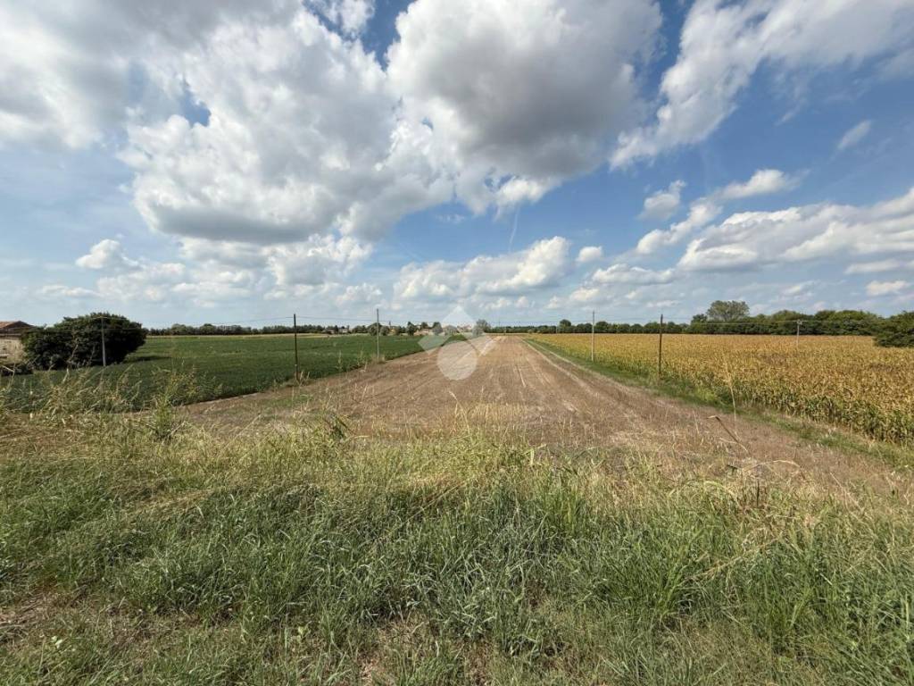 Terreno a Arquà polesine in Via Valmolin di mezzo - Foto 4