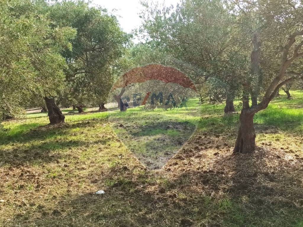 Terreno a Torretta in Contrada torretta - Foto 5