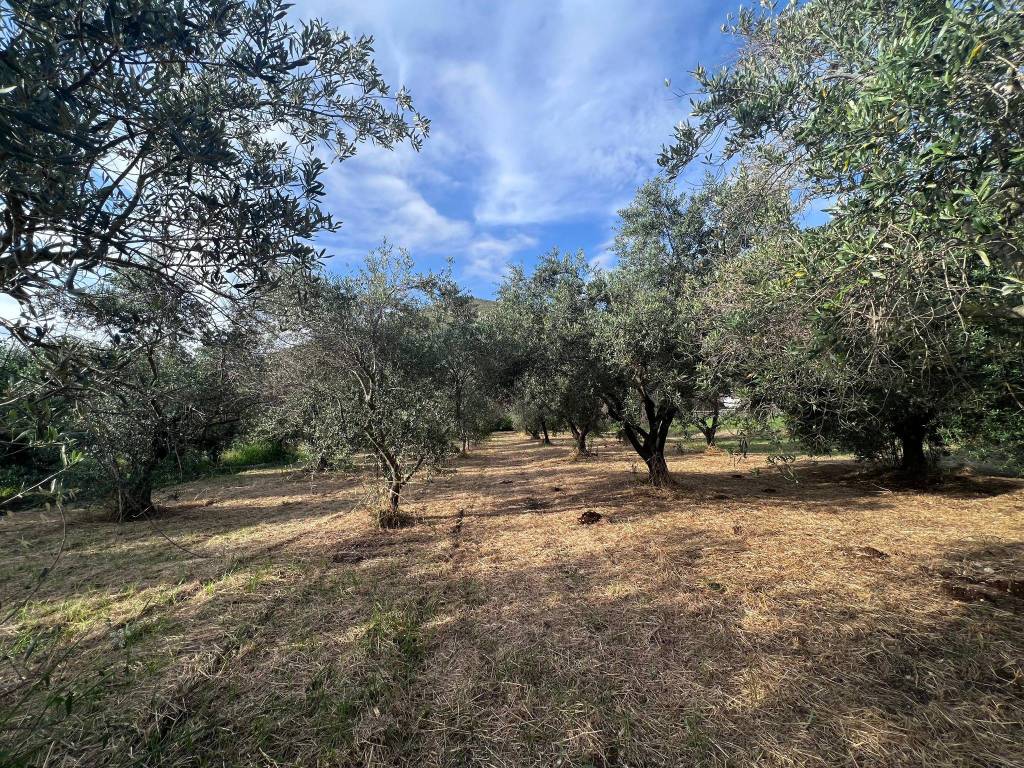 Terreno a Fondi in Via Fossato Piano, 2 - Foto 4