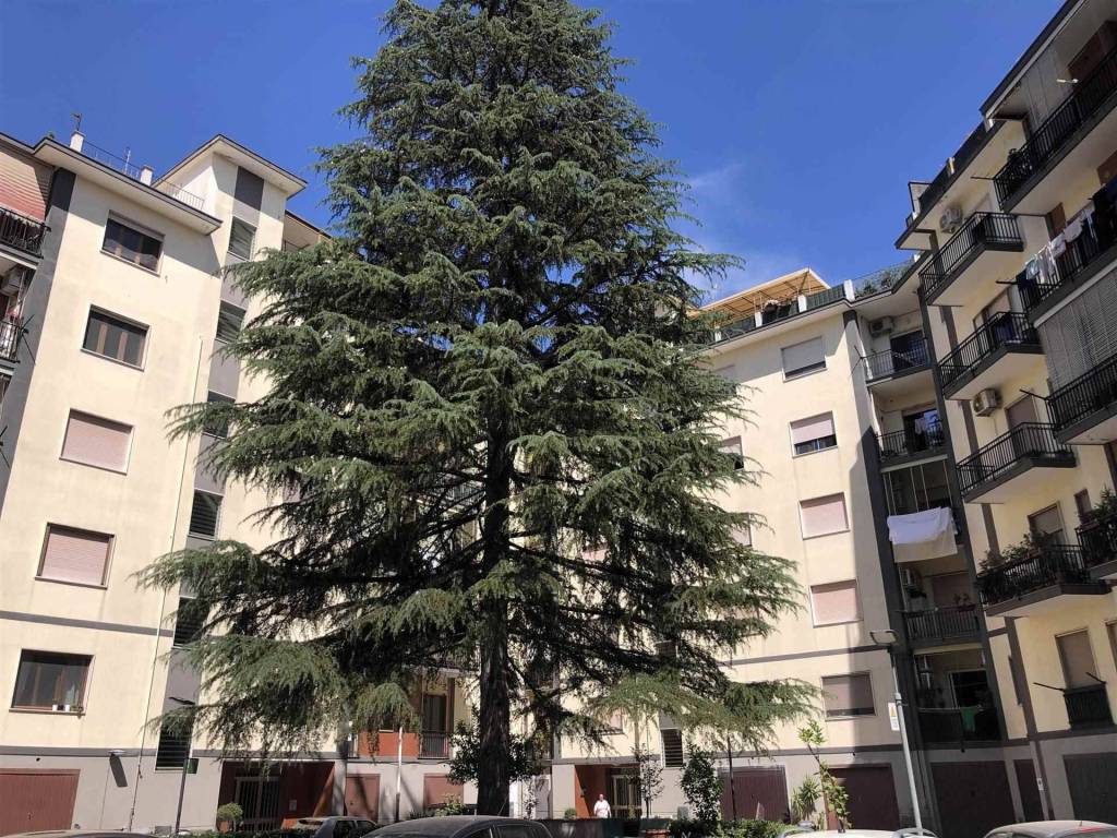 Appartamento a Salerno in Via Rocco Cocchia, 189 - Foto 3