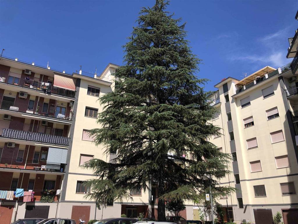 Appartamento a Salerno in Via Rocco Cocchia, 189 - Foto 4