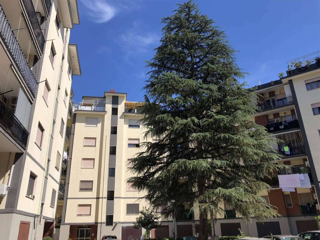 Appartamento a Salerno in Via Rocco Cocchia, 189 - Foto 5