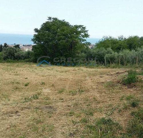 Terreno a Tortoreto - Foto 2