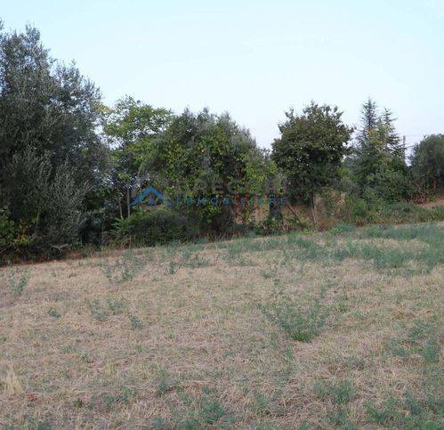 Rustico / casale a Ancarano in Via Fonte Monsignore - Foto 3