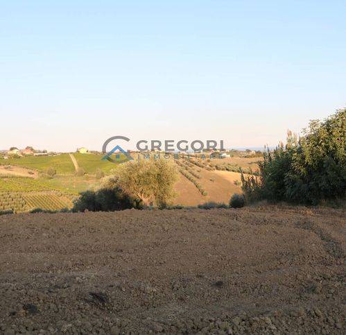 Terreno a Controguerra in Via Giuseppe Verdi 28 - Foto 4
