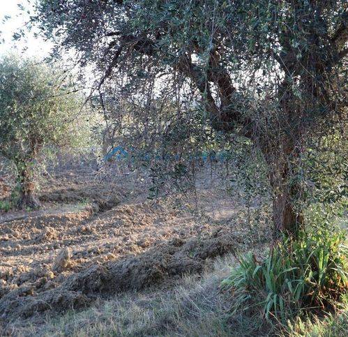 Terreno a Controguerra in Via Giuseppe Verdi 28 - Foto 5