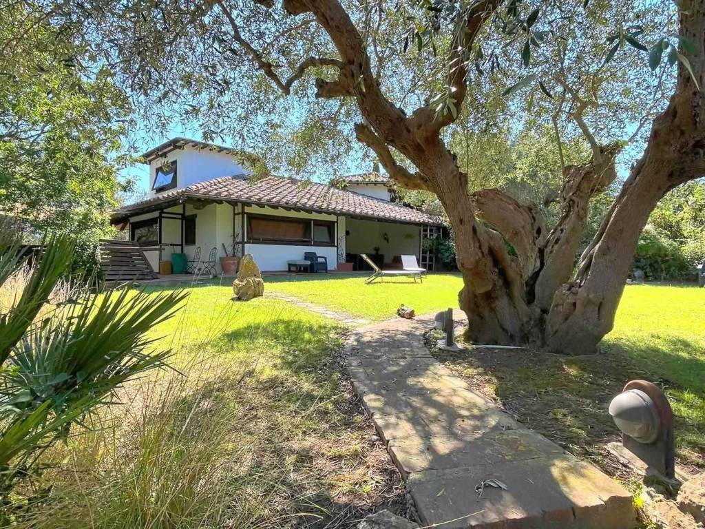 Casa indipendente a Orbetello - Foto 4