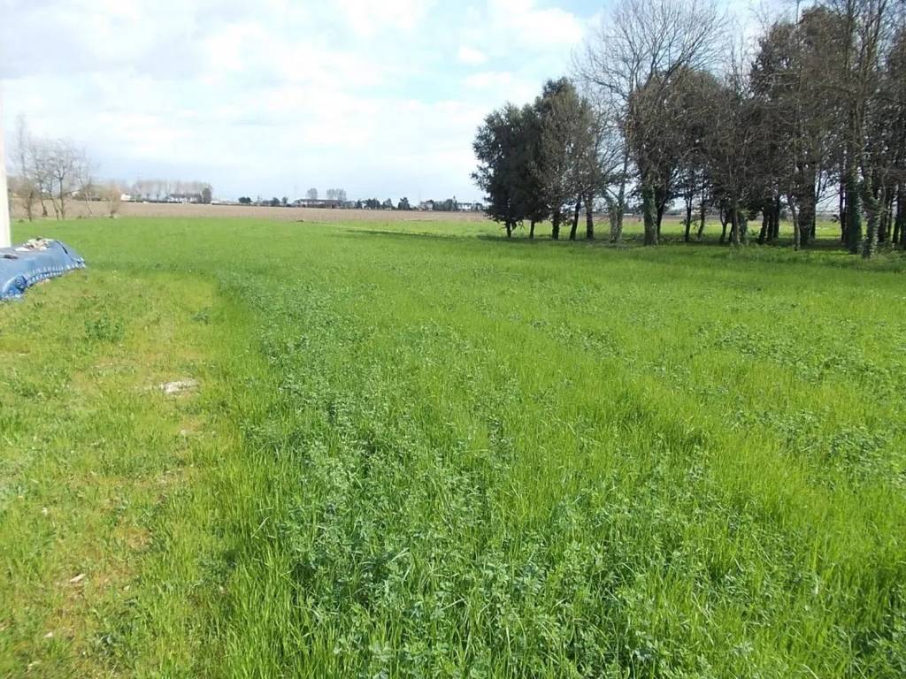 Terreno a Mirano in Via Caltana S.N.C. - Foto 2