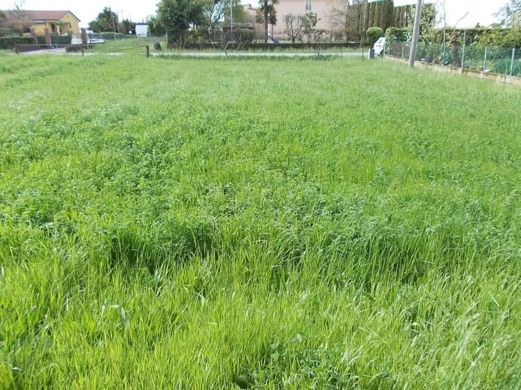 Terreno a Mirano in Via Caltana S.N.C. - Foto 3