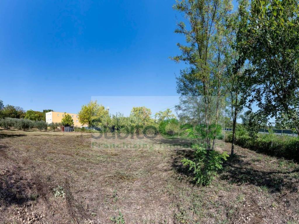 Terreno a Cepagatti in Via Pignatelli - Foto 3