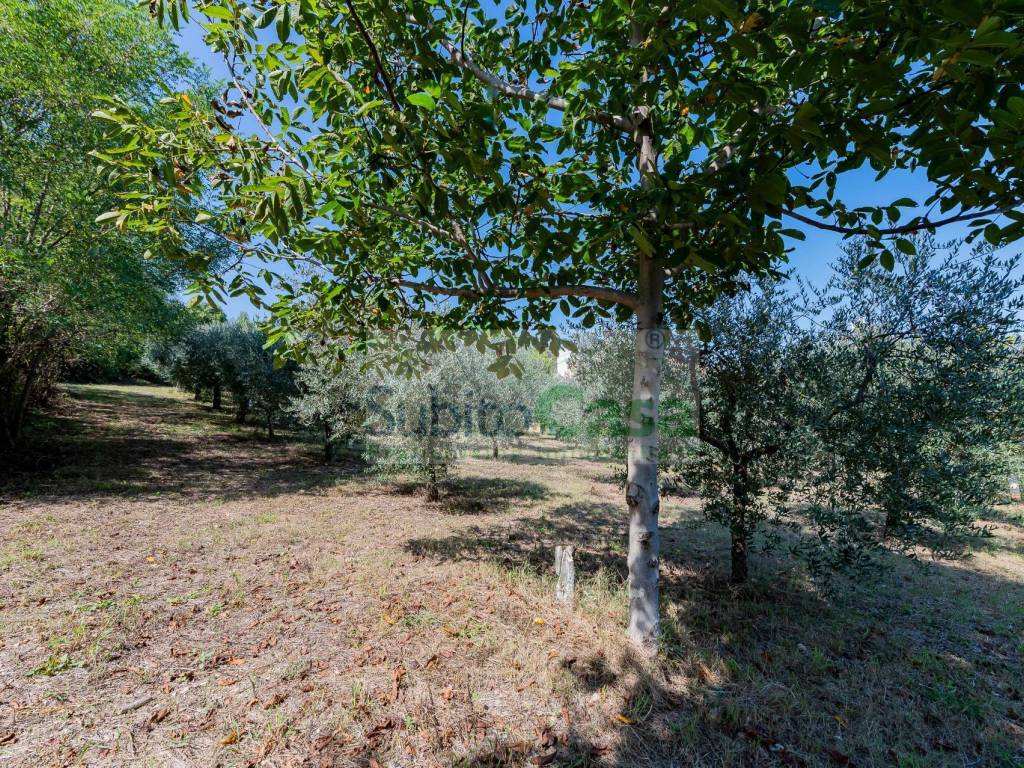 Terreno a Cepagatti in Via Pignatelli - Foto 4