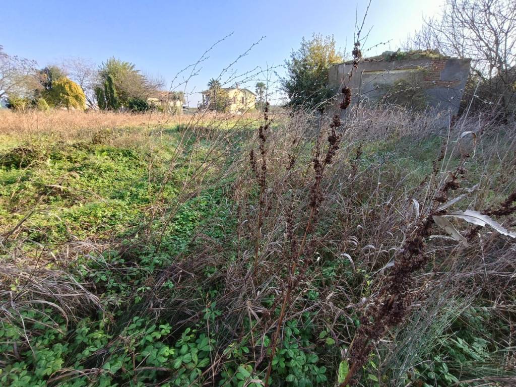 Terreno a Lugo in Via Fiumazzo, 296 - Foto 2