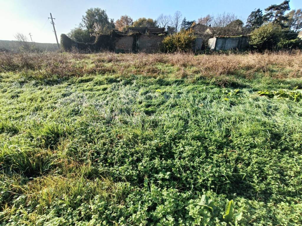 Terreno a Lugo in Via Fiumazzo, 296 - Foto 4