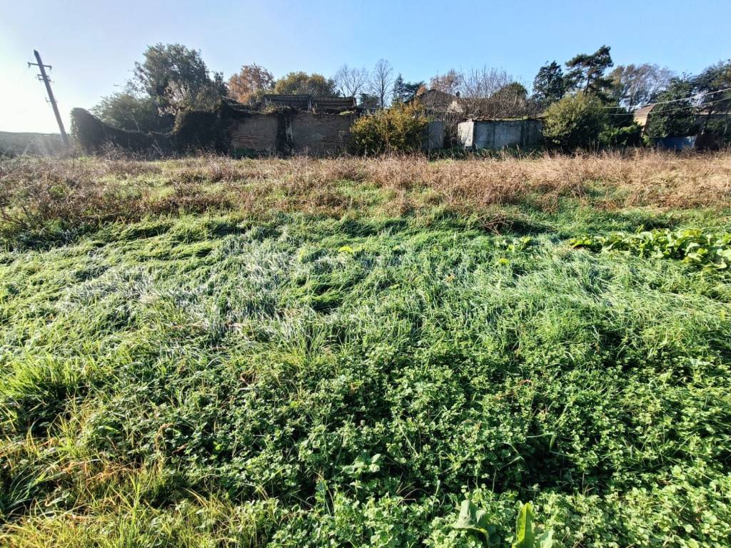 Terreno a Lugo in Via Fiumazzo, 296 - Foto 5