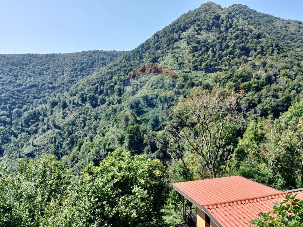 Appartamento a Cittiglio - Foto 2