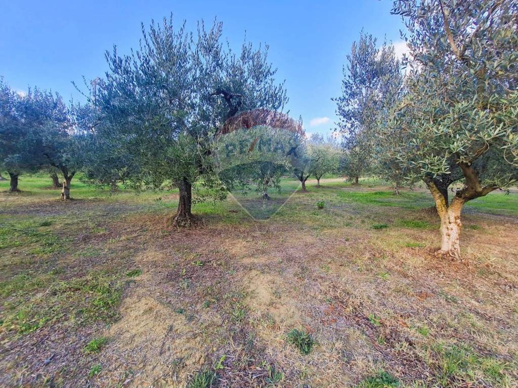 Terreno a Francavilla al mare - Foto 2