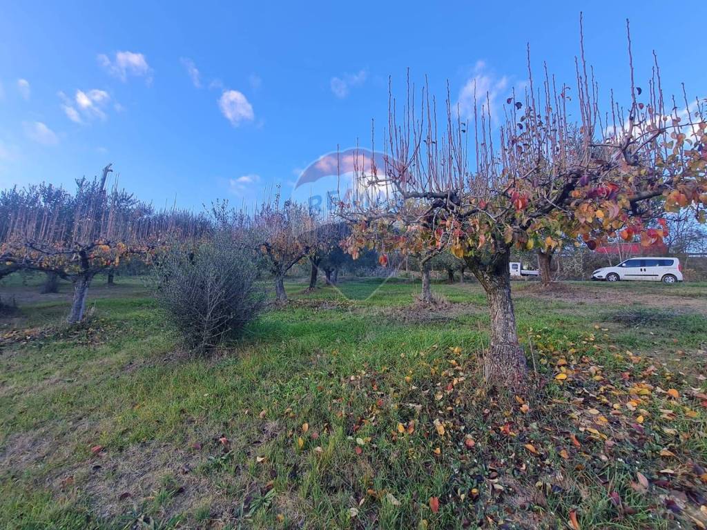 Terreno a Francavilla al mare - Foto 3