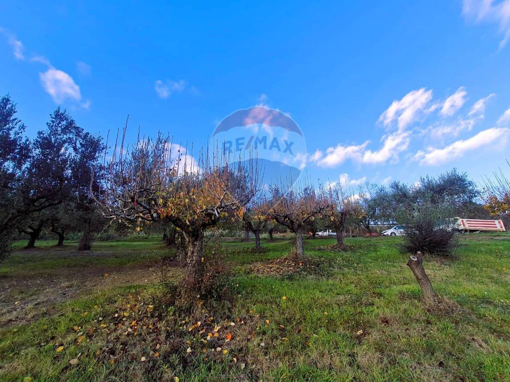 Terreno a Francavilla al mare - Foto 5