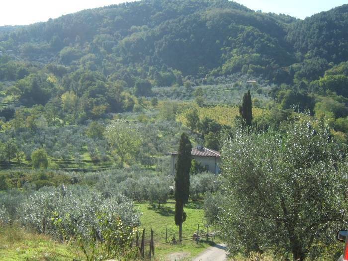 Rustico / casale a Quarrata - Foto 2