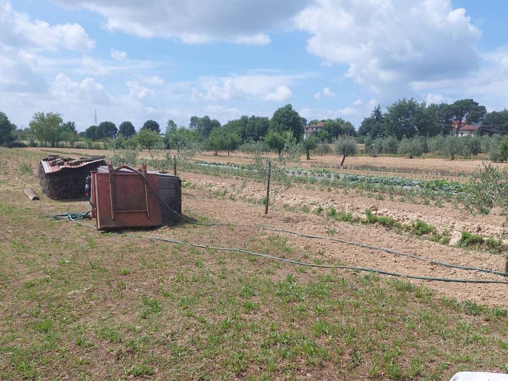 Terreno a Arezzo in Località Pratantico - Foto 3