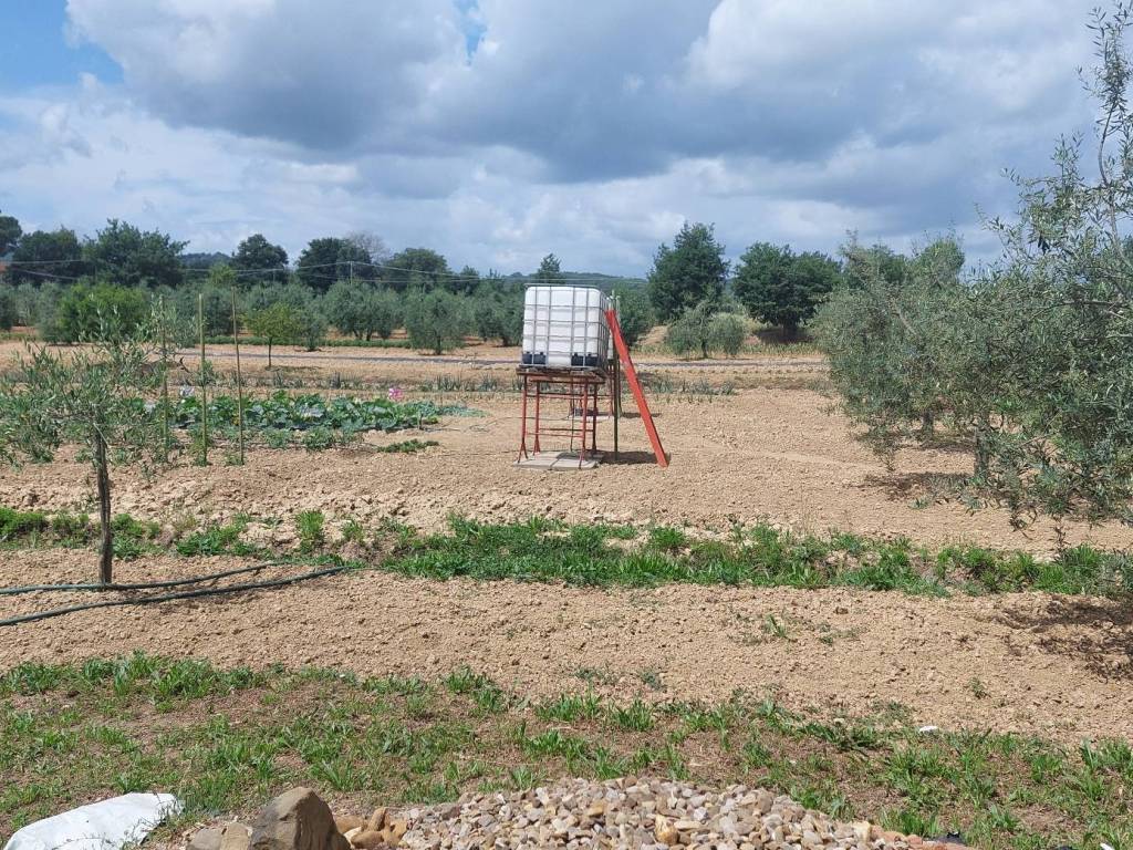 Terreno a Arezzo in Località Pratantico - Foto 4