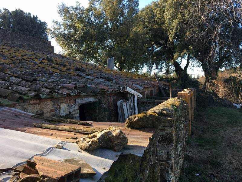 Rustico / casale a Massa marittima - Foto 4