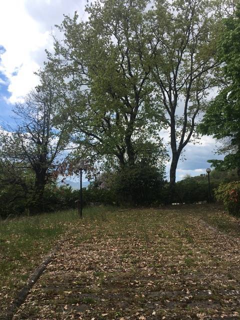 Villa a Passignano sul trasimeno - Foto 5