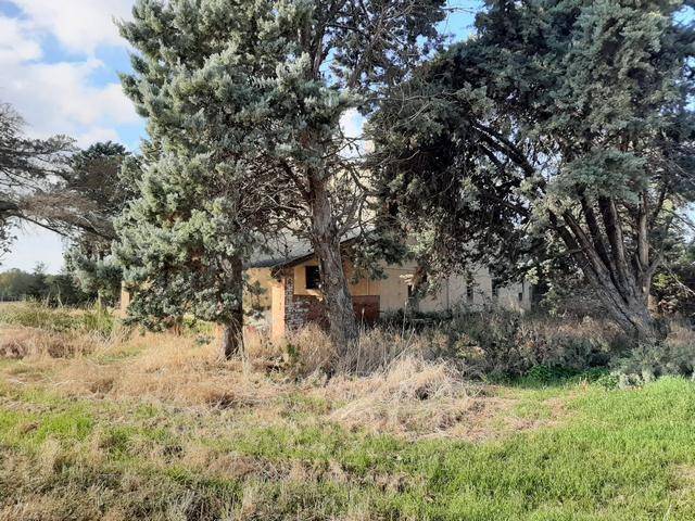 Rustico / casale a Rosignano marittimo - Foto 4