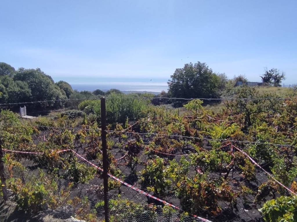 Terreno a Nicolosi in parco dell 'Etna - Foto 2