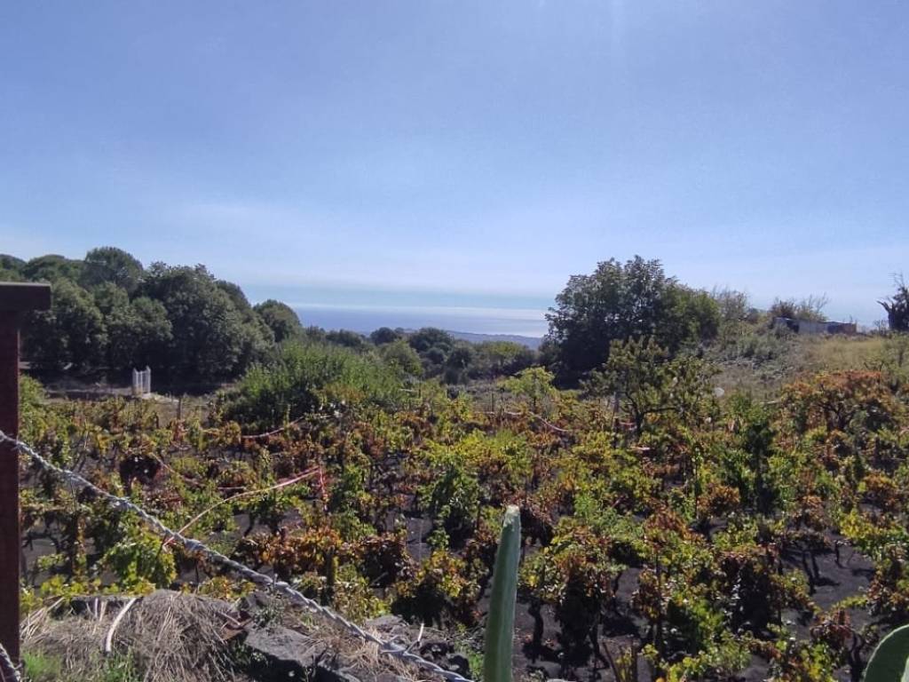 Terreno a Nicolosi in parco dell 'Etna - Foto 3