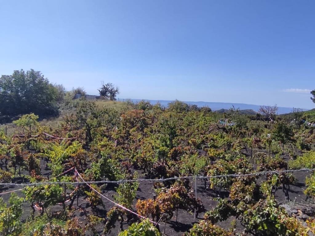 Terreno a Nicolosi in parco dell 'Etna - Foto 4