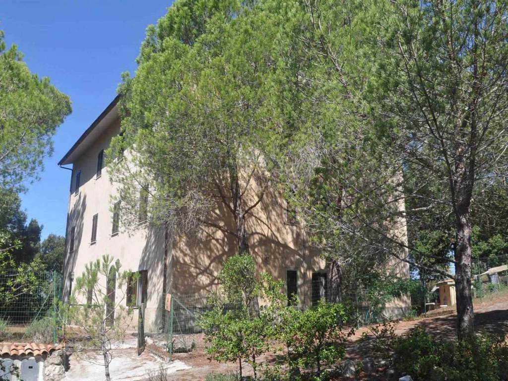 Rustico / casale a Castellina marittima in Via Roma - Foto 3