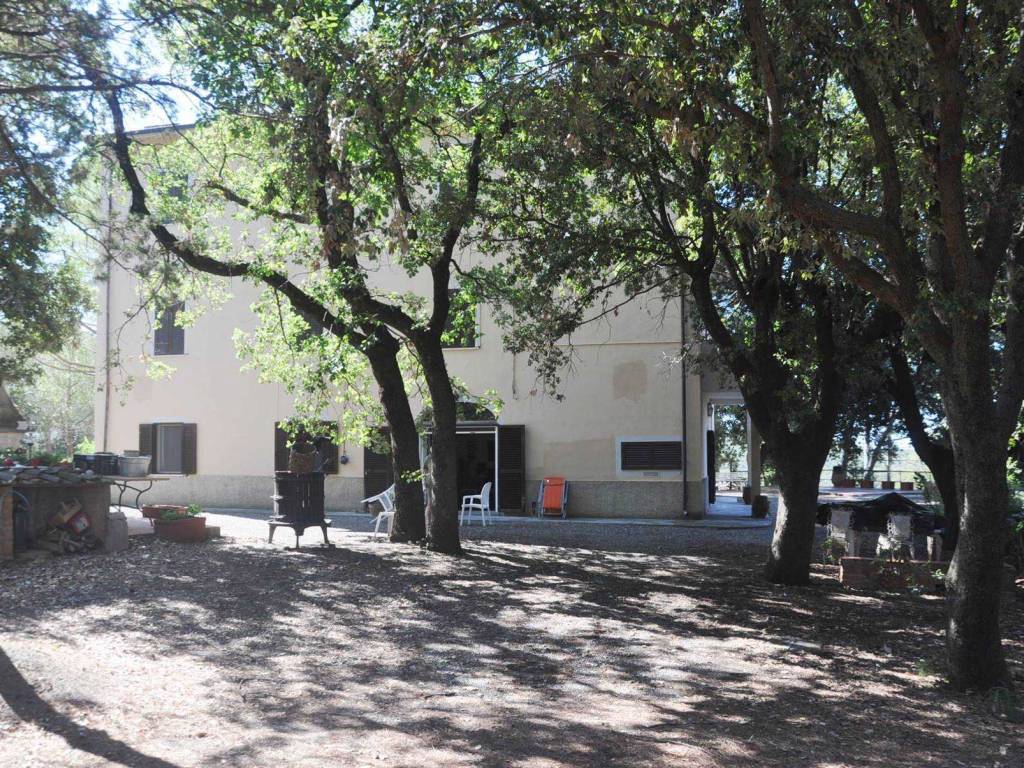 Rustico / casale a Castellina marittima in Via Roma - Foto 4