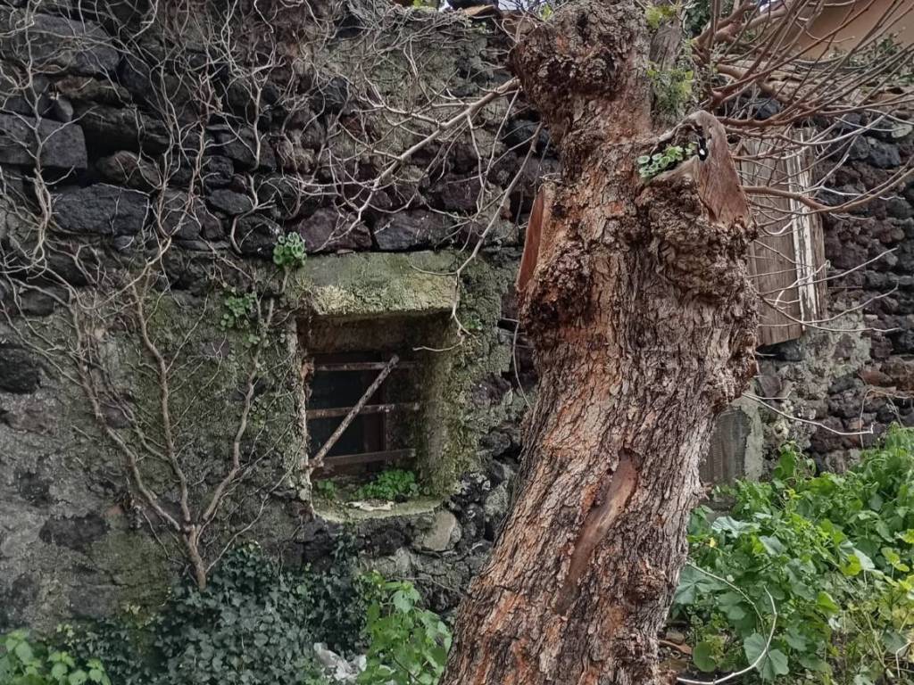 Villa a Nicolosi in Via Gibuti, 16 - Foto 3