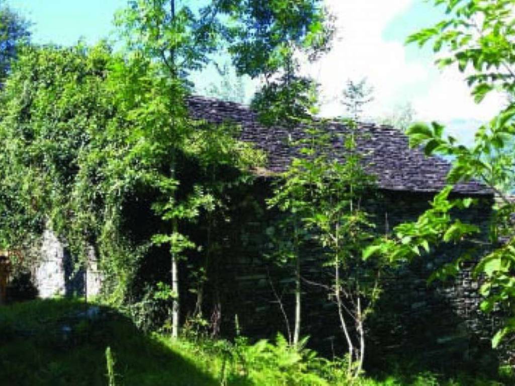 Terreno a Beura-cardezza in Via Sempione - Foto 3