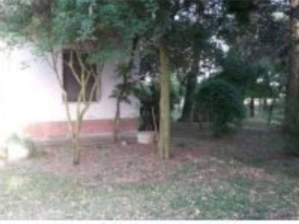 Rustico / casale a Bagnacavallo in Via Stradello Di Sotto S.N.C. - Foto 4