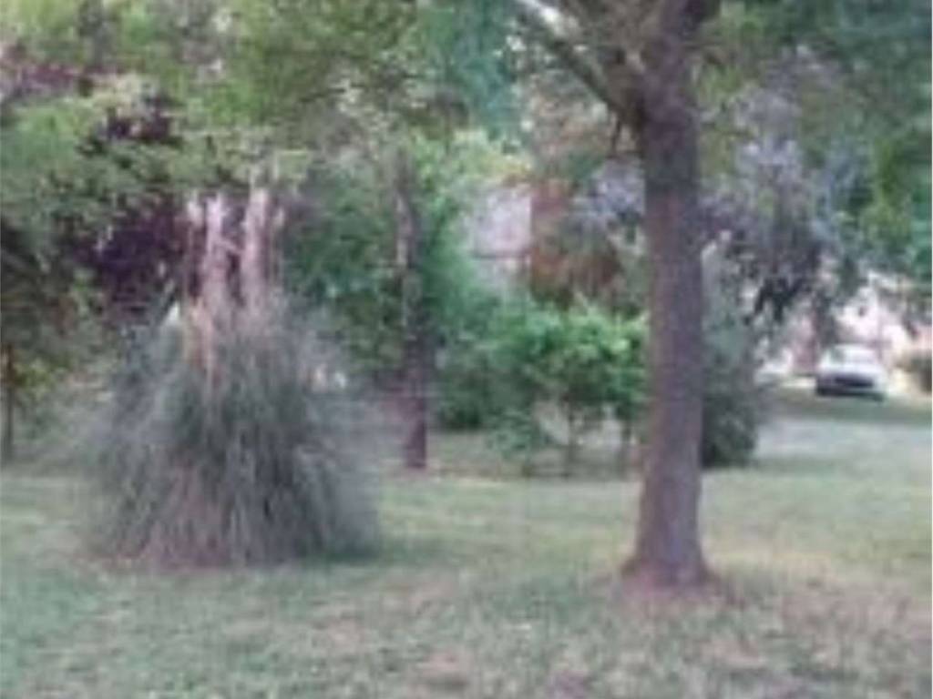 Rustico / casale a Bagnacavallo in Via Stradello Di Sotto S.N.C. - Foto 5