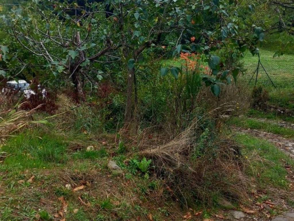 Rustico / casale a Castel focognano in via di Cinano, 40 - Foto 3