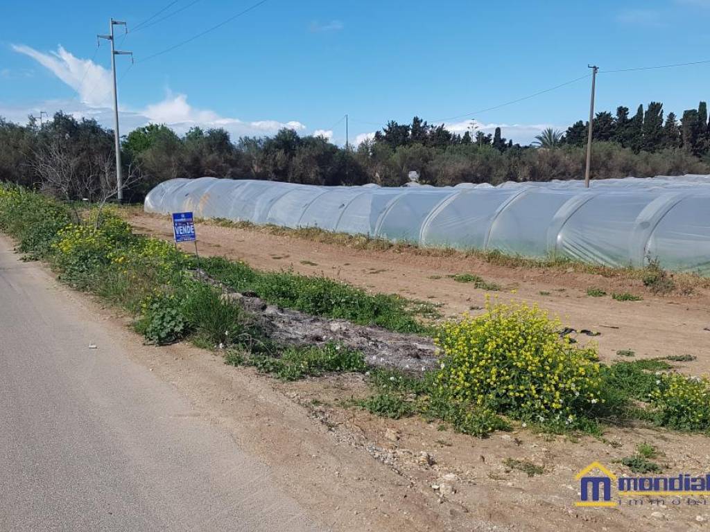 Immobile a Noto in c.da Luparello - Foto 3