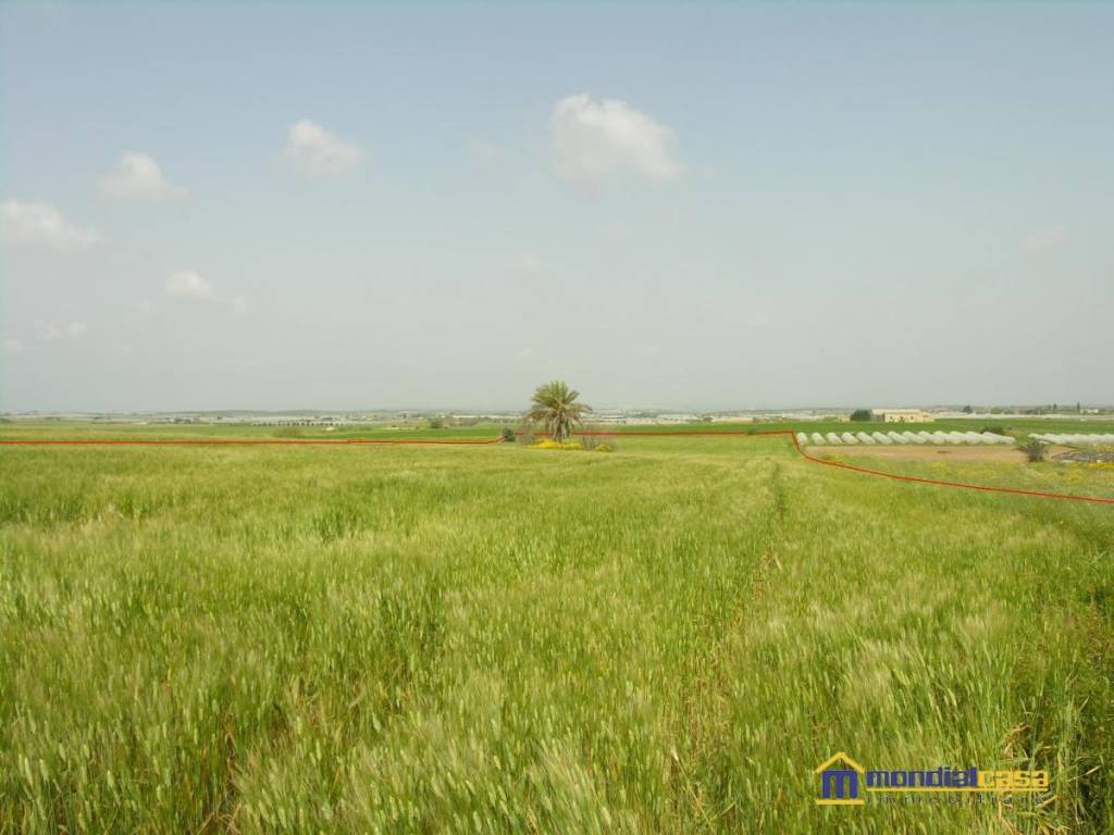 Immobile a Noto - Foto 2