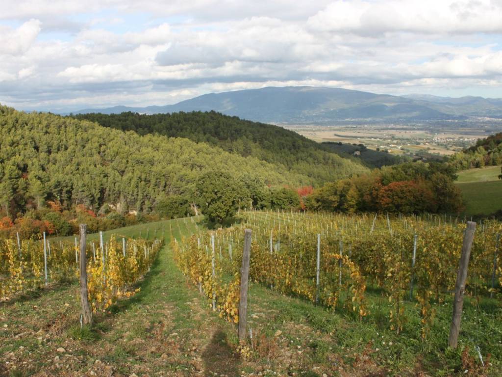 Rustico / casale a Bevagna in Via delle Pianate San Sisto - Foto 2