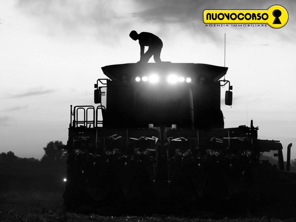 Terreno a Ceregnano - Foto 2