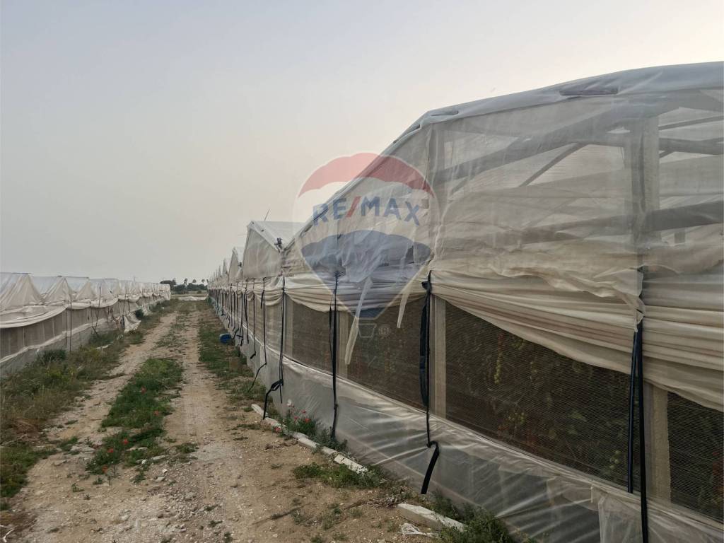 Terreno a Gela in Contrada Feudo Nobile - Foto 5