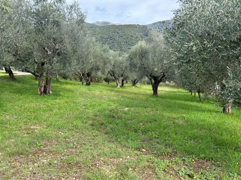 Terreno a Sora in via Quagliarino - Foto 2