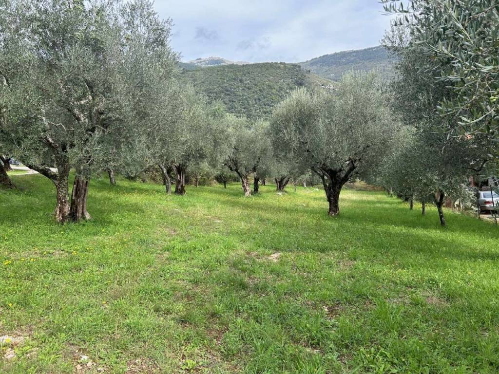 Terreno a Sora in via Quagliarino - Foto 3
