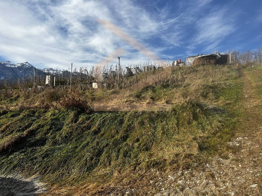 Terreno a Ton in Via Castel Thun - Foto 5