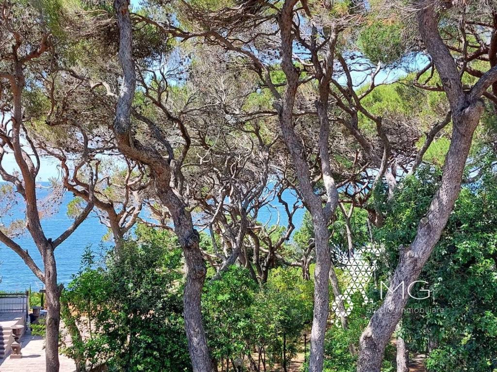 Appartamento a Rosignano marittimo - Foto 4