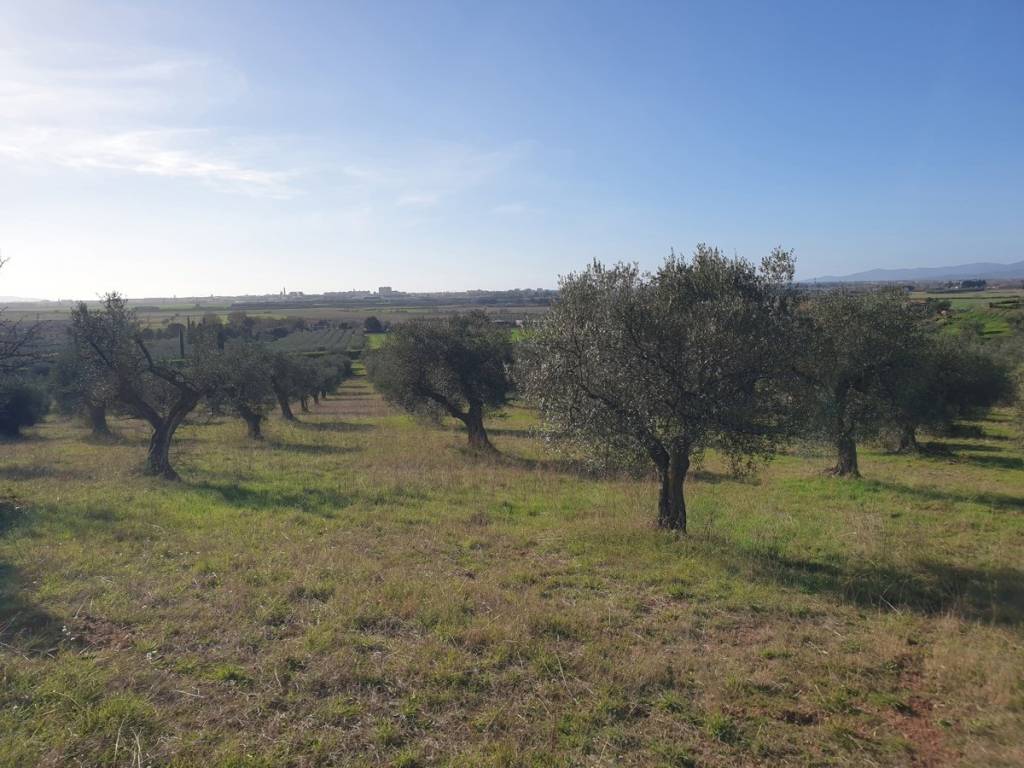 Terreno a Grosseto in Strada Provinciale dei Laghi, 1 - Foto 2