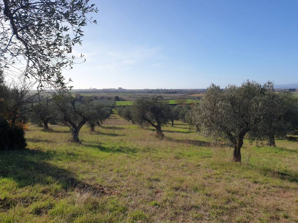 Terreno a Grosseto in Strada Provinciale dei Laghi, 1 - Foto 3