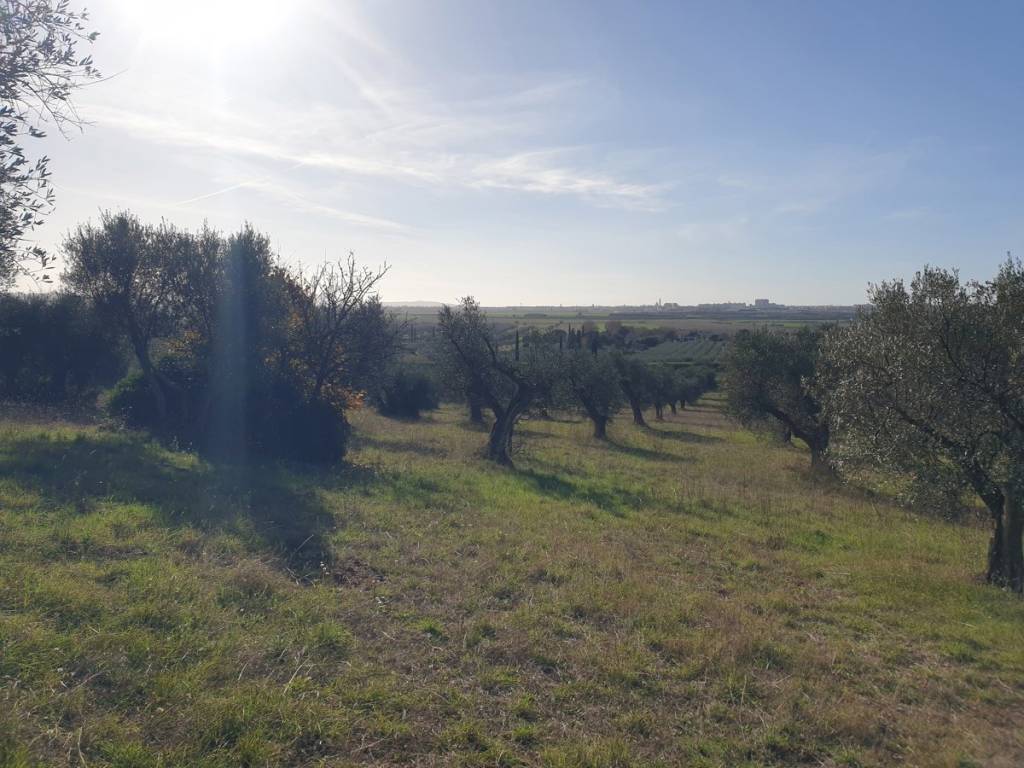 Terreno a Grosseto in Strada Provinciale dei Laghi, 1 - Foto 4
